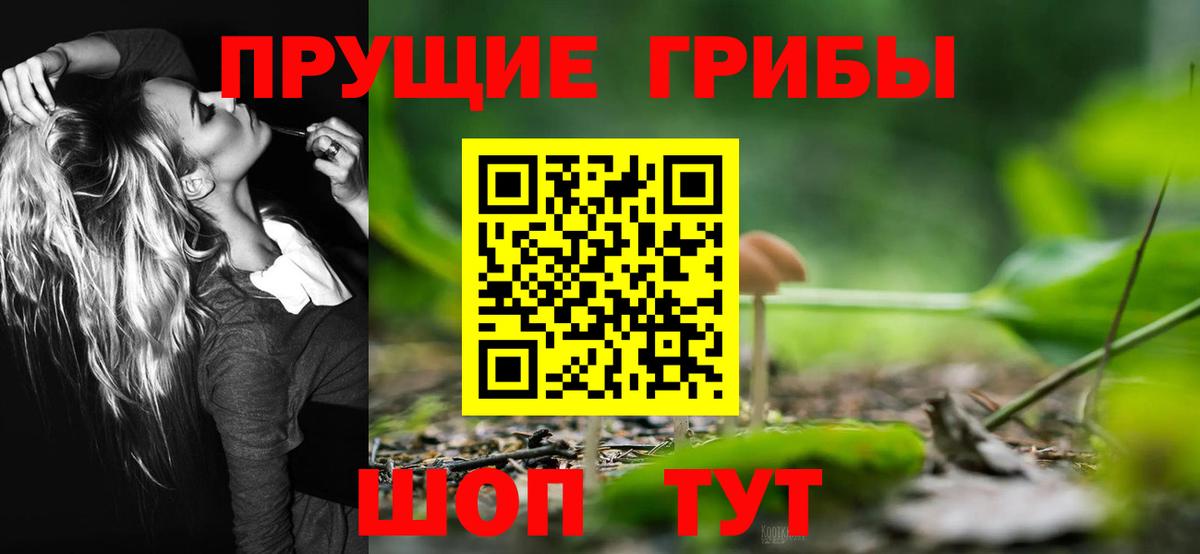 Галлюциногенные грибы Cubensis Сургут